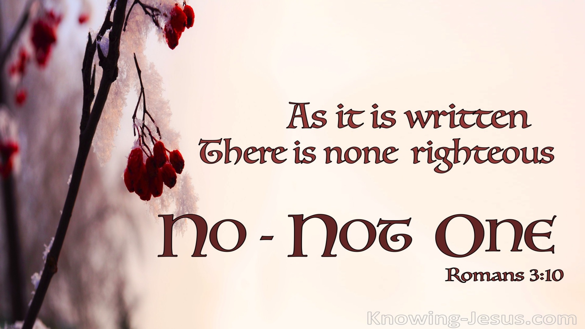 Romans 3:10 There Is None Righteous No Not One (brown)